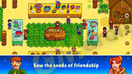 stardew valley 6