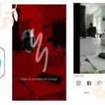 تحميل تطبيق لوبسي Loopsie Ai Pro Apk  لعمل فيديو متحرك بالذكاء الاصطناعي تحميل تطبيق لوبسي Loopsie Ai Pro Apk لعمل فيديو متحرك بالذكاء الاصطناعي